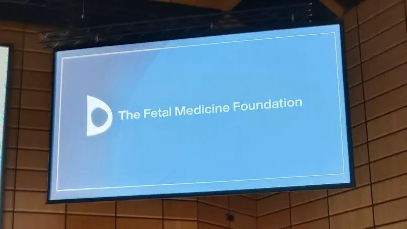 Marta Núñez, César Díaz and Gabriel Bernardino Attend the World Congress in Fetal Medicine in Vienna